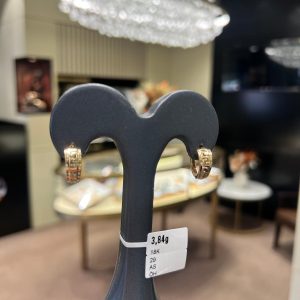 Begagnade Örhänge i 18K - 3,84g