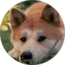 vera W. profile picture
