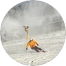 Lars R. profile picture